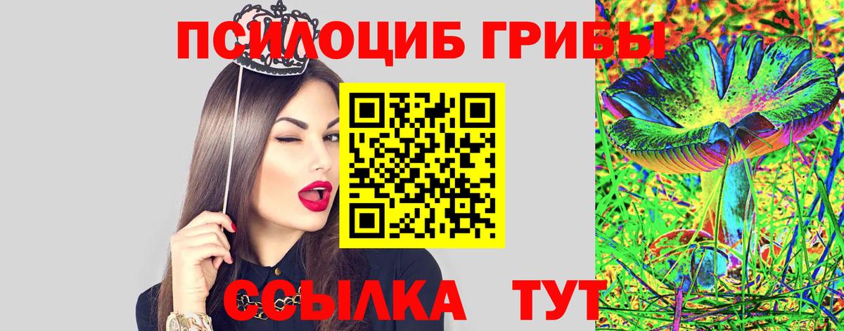 где найти наркотики  Вход с VPN  Миллерово  Псилоцибиновые грибы GOLDEN TEACHER 