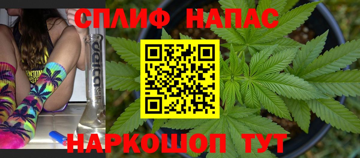 Бошки Шишки SATIVA & INDICA  Вход с VPN  МАРИХУАНА гибрид  Миллерово 